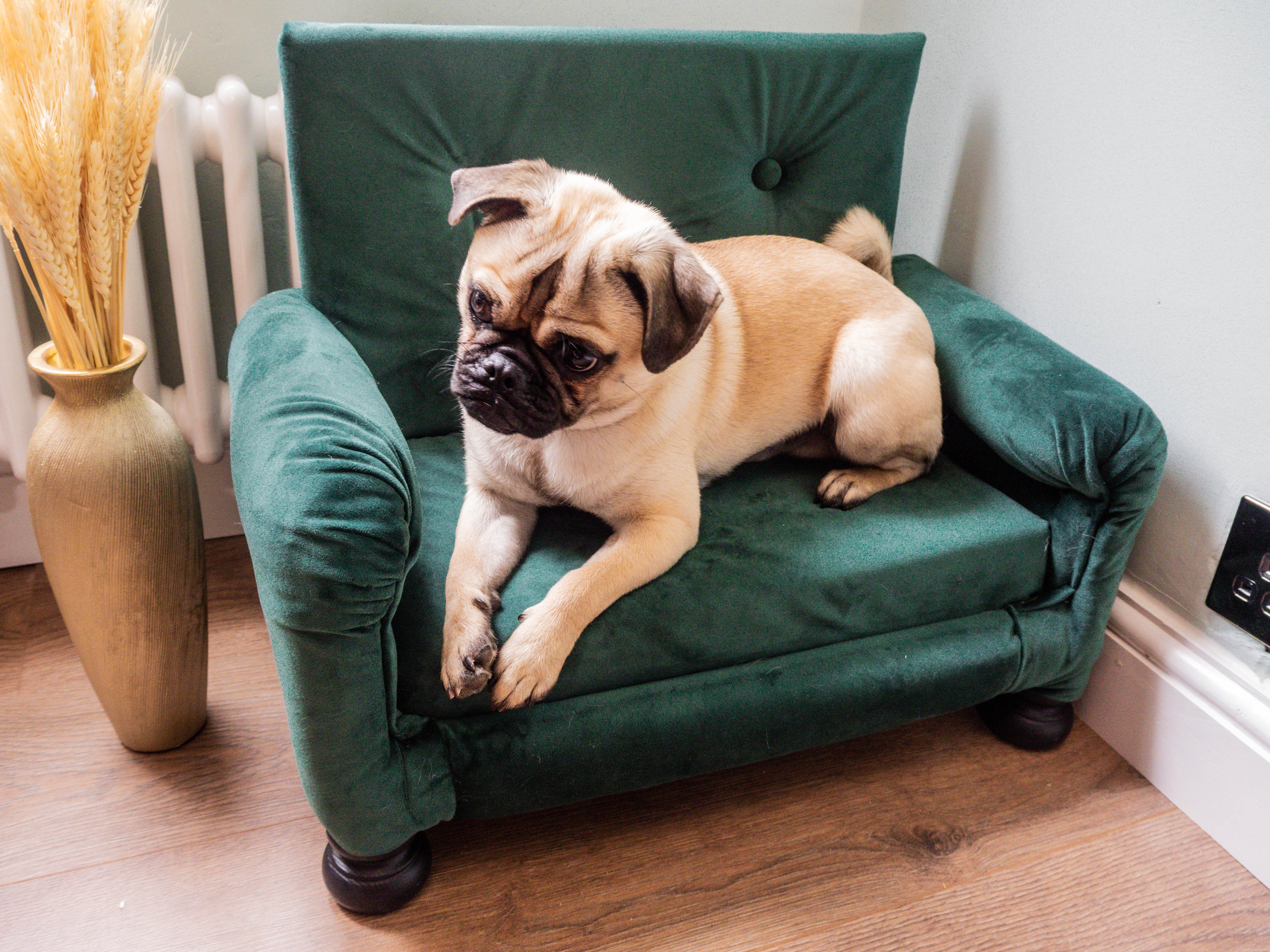 How To Build A Luxurious Dog Sofa Bed