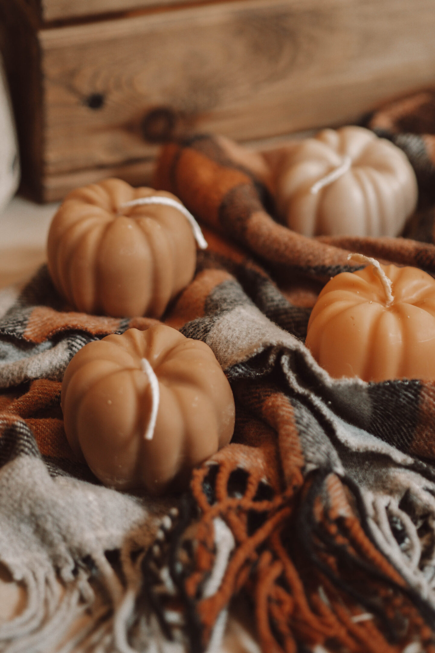 Embrace Autumn with Our Cosy Pumpkin Soy Candle